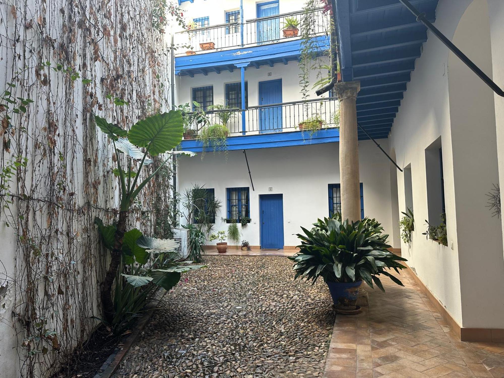 Vidrio 30-32 Appartement *