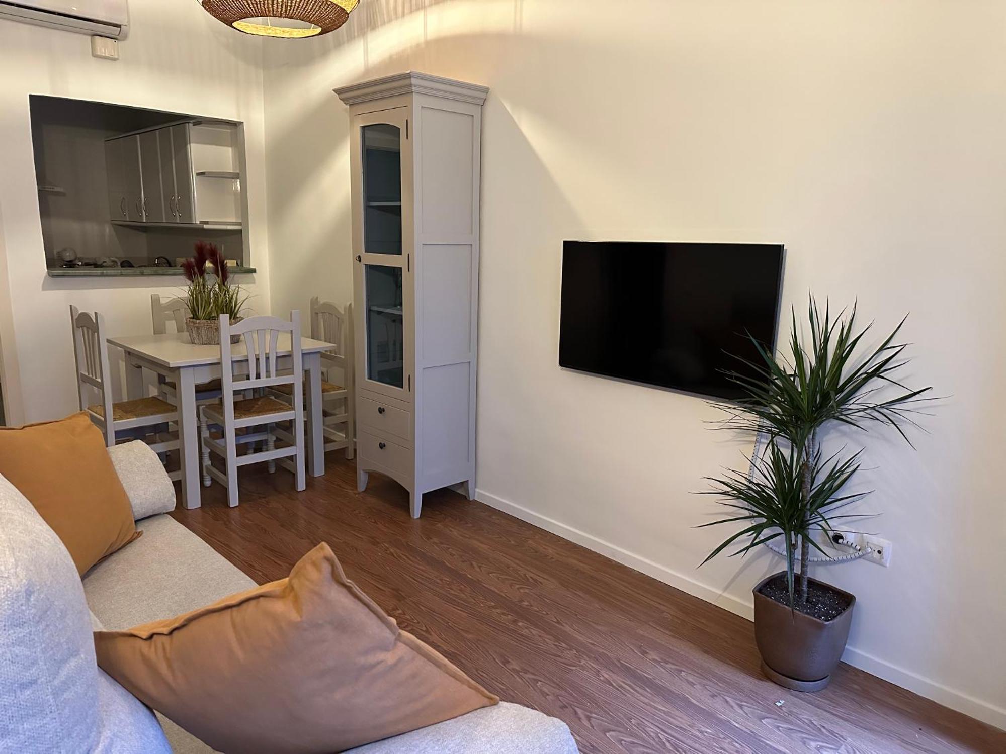 Vidrio 30-32 Appartement